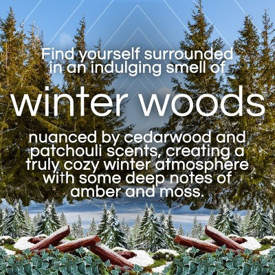 Air Wick Scented Oil Vibrant Air Fresheners - Winter Woods & Ivy - 3ct