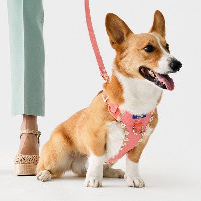 Hooray House Daisy Dog Harness - M