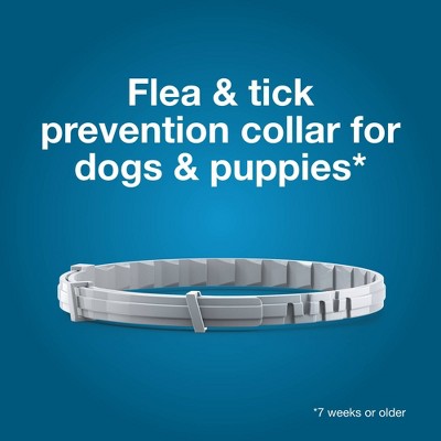 Seresto Flea & Tick Dog Insect Prevention Collar - L