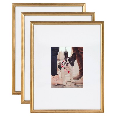 SINGLE Gold Frame, Gallery Wall Set, 16x20 Matted to 8x10 (LOCAL PICKUP ONLY)