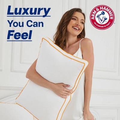 Arm & Hammer Soft Just Like Down Sleep Pillow