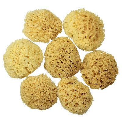 Baby Buddy Bath Sponges And Loofahs