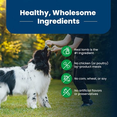 Blue Buffalo Life Protection Formula Natural Adult Dry Dog Food with Lamb and Brown Rice - 15lbs (LOCAL PICKUP ONLY)