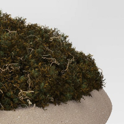 Faux Moss Bowl - Threshold