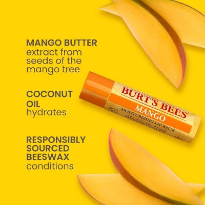 Burt's Bees Superfruit Lip Balm - 4ct