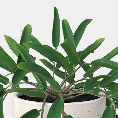 Trailing Leaf Plant - Threshold