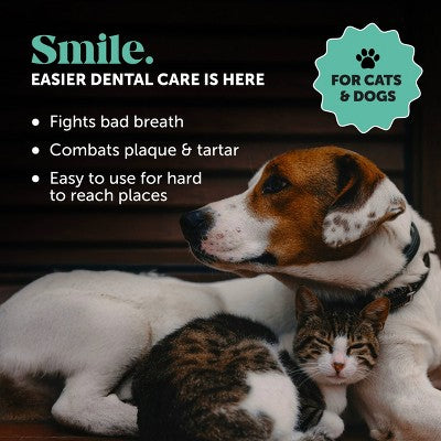 Pet Honesty Mint Flavor Cat and Dog Dental Wipes - 30ct