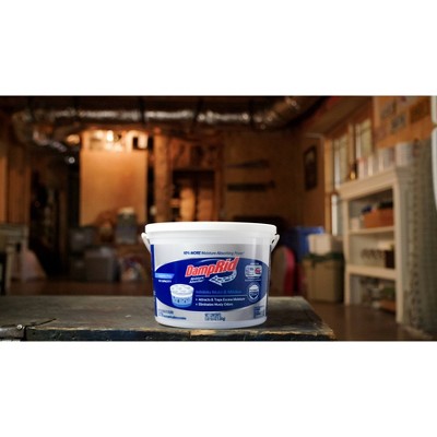 DampRid Unscented High Capacity Moisture Absorber Bucket - 15.5oz
