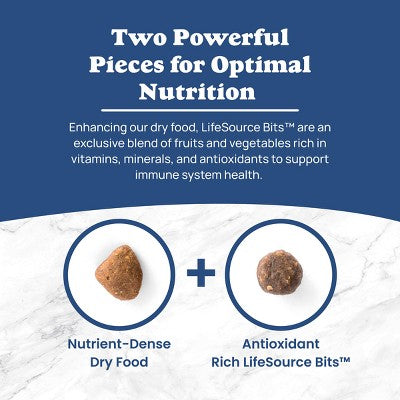 Blue Buffalo Life Protection Formula Natural Adult Dry Dog Food with Beef and Brown Rice - 5lbs