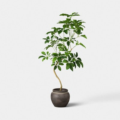 39" Spade Leaf Tree - Threshold (LOCAL PICKUP ONLY)