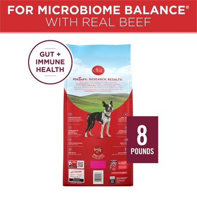 Purina ONE SmartBlend Small Bites Beef & Rice Formula Adult Dry Dog Food - 8lbs