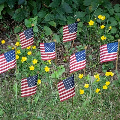 Valley Forge Flag 8pc Stick Flags