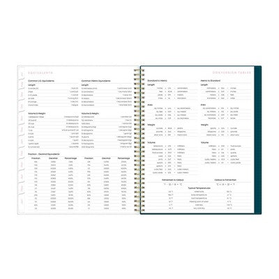 Blue Sky July 2024 - June 2025 8.5"x11" Weekly/Monthly Wirebound Planner Frosted PP Emery: Academic Agenda for Adults