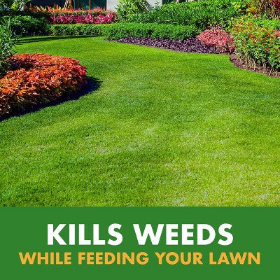 32 fl oz Ready-to-Spray Weed & Feed - Spectracide