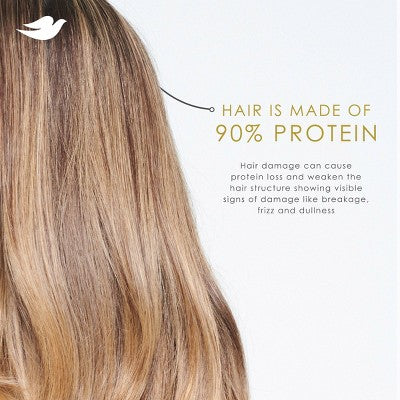 Dove Beauty Bond Strength Peptide Complex Hair Care Shampoo - 12 fl oz