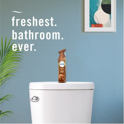 Febreze Air Mist - Sea Salt Caramel & Maple - 8.8oz