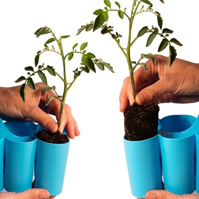 Sili-Seedlings 2pk 10 cell Seed Starter Silicone Outdoor Planter Opal Blue