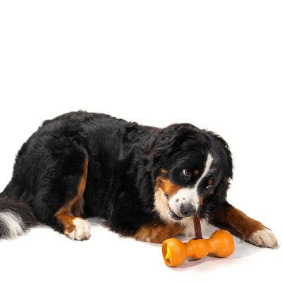 Bow Wow Buddy Safety Device Holder for Dog Bully Sticks and Chews - L