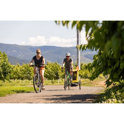 Burley Bee Double Kids' Bike Trailer (LOCAL PICKUP ONLY)