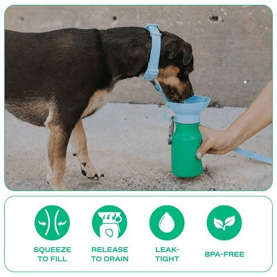 Springland 15 fl oz Mini Travel Dog Water Bottle - Green/Sky Blue