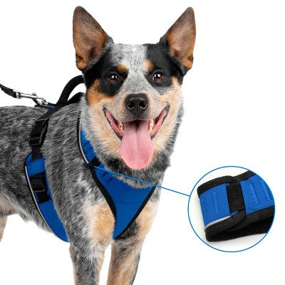 PetSafe EasySport Adjustable Dog Harness - M - Blue