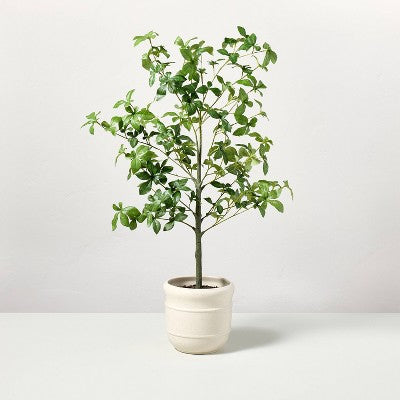 33" Faux Potted Gypsophila Leaf Tree - Hearth & Hand with Magnolia (LOCAL PICKUP ONLY)
