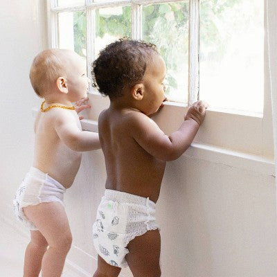 Parasol Clear+Dry Natural Disposable Diaper Pants - 3T-4T - 48ct