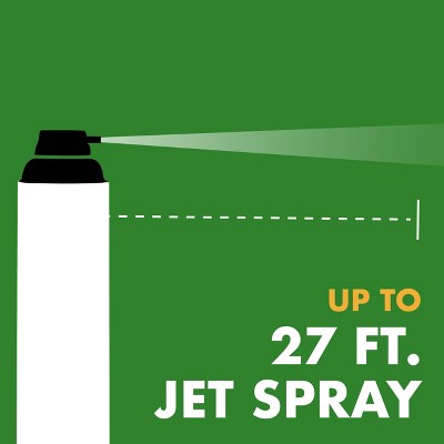 Spectracide 2pk Wasp and Hornet Insecticide - 2ct/18.5oz each