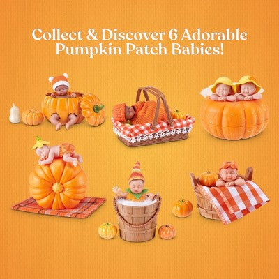 My Mini Pumpkin Patch