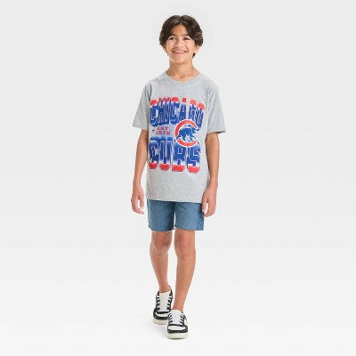 Boys' 4th of July MLB Chicago Cubs Short Sleeve Graphic T-Shirt - Gray M: Cotton, Crew Neck, Team Logo, Medium