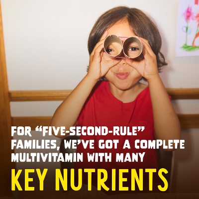 The Flintstones Sugar Free Kids' Multivitamin Gummies - 60ct