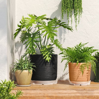 10" Clear Round Plastic Planter Saucer - Threshold