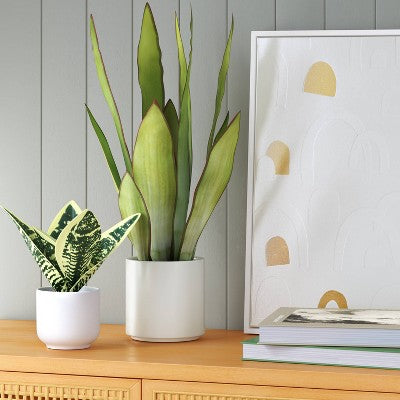 Large Artificial Snake Plant - Threshold: 21" Faux Flora in Stoneware Pot for Indoor Decor
