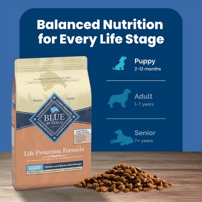 Blue Buffalo Life Protection Formula Natural Puppy Large Breed Dry Dog Food with Chicken and Brown Rice - 24lbs (LOCAL PICKUP ONLY)