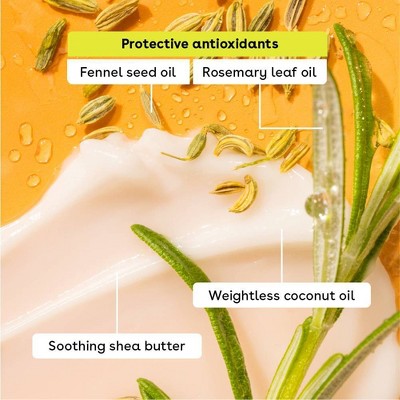 eos Holiday Lip Balm Stick - Sparkling Appletini & Blackberry Bellini - 2pk