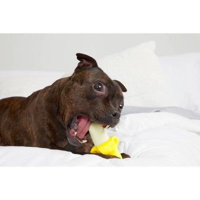 BARK Ba-gnaw-na Super Chewer Dog Food Shaped Toy