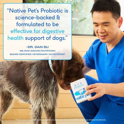 Native Pet Probiotic Powder for Dogs - Prebiotic Fiber & Bone Broth, Gut Health - 4.1 oz: Adult Pet Digestive Health