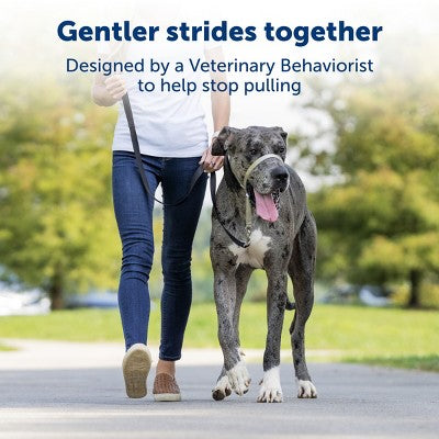 PetSafe Gentle Leader Headcollar Adjustable Dog Harness - L - Black