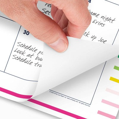 AT-A-GLANCE Emily Ley 2025-2026 22"x17.125" Monthly Desk Pad Happy Stripe