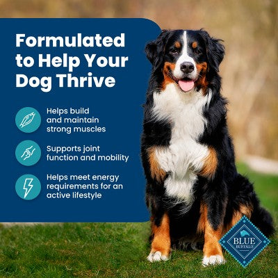 Blue Buffalo Life Protection Formula Natural Adult Dry Dog Food with Fish and Brown Rice - 15lbs (LOCAL PICKUP ONLY)