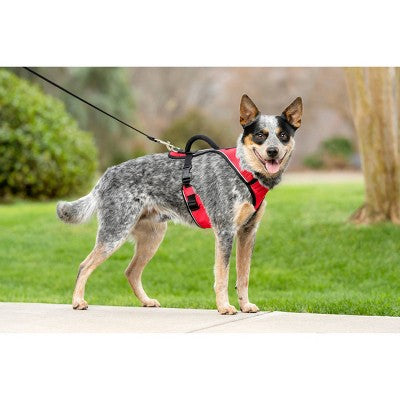 PetSafe EasySport Adjustable Dog Harness - M - Red