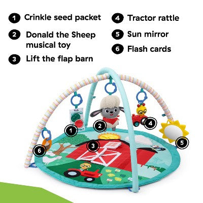 Baby Einstein Happy Harvest Touch & Feel Activity Gym (LOCAL PICKUP ONLY)