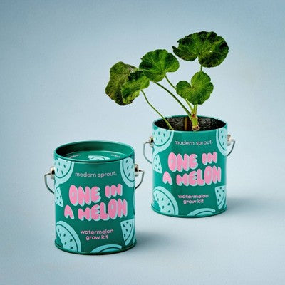Modern Sprout Watermelon Complimentary Color Grow One in a Melon Seed Starter Kit