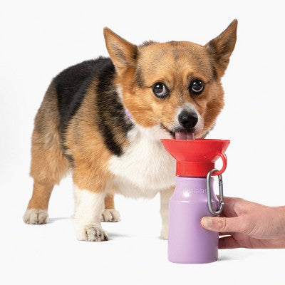 Springland 15 fl oz Mini Travel Dog Water Bottle - Lilac/Red