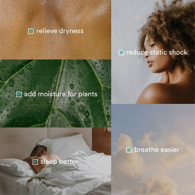 HoMedics Ultrasonic Cool Mist Humidifier with Dishwasher-Safe Components