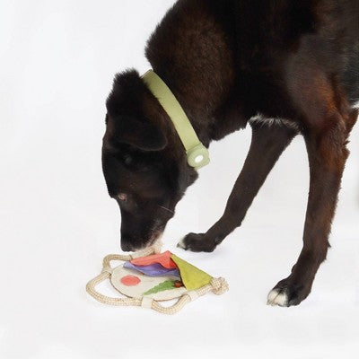AWOO Treatscape Organic Dog Treat Puzzle Dispenser Toy