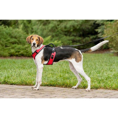 PetSafe EasySport Adjustable Dog Harness - L - Red: Comfort-Grip, Reflective, Reinforced Stitching, Adjustable