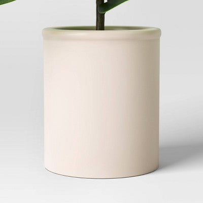 Fiddle Leaf Potted Plant Small - Threshold