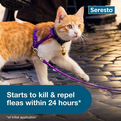 Seresto Flea & Tick Cat Insect Prevention Collar