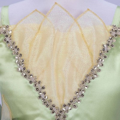 Disney Princess Tiana Dress 4